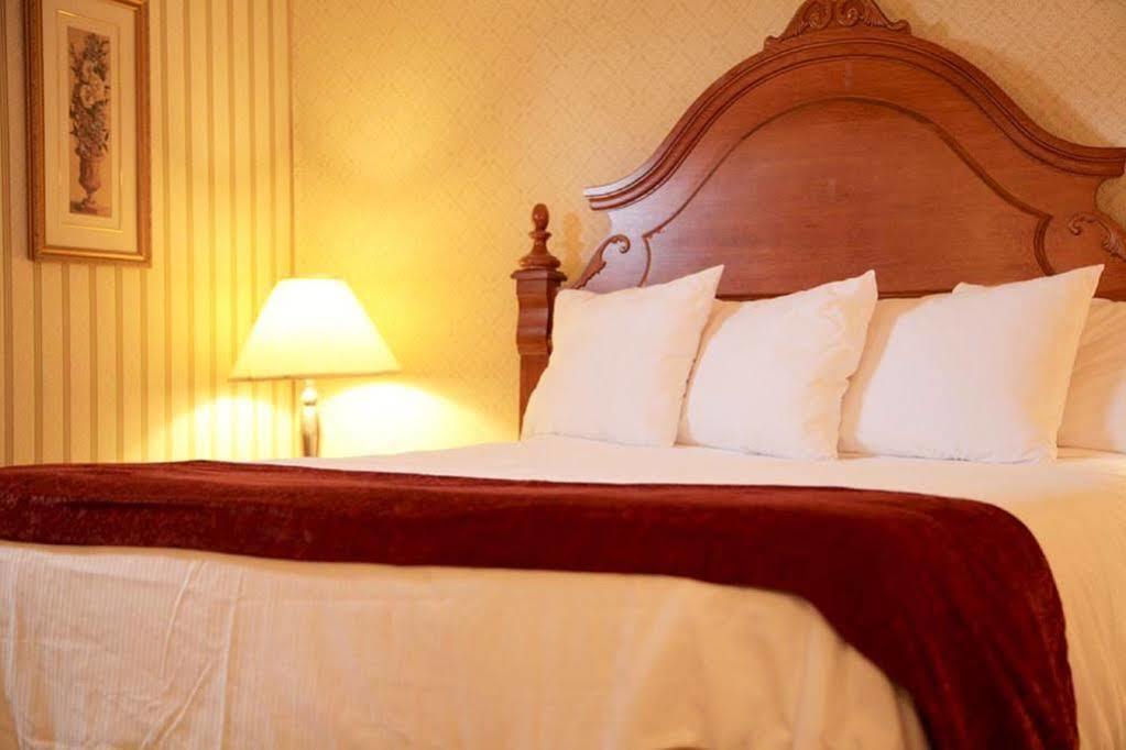 Albatross Hotel Gander Esterno foto